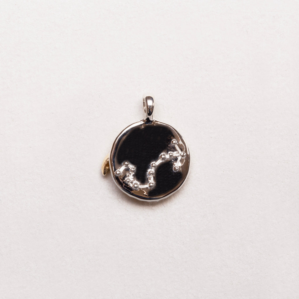 Sterling Silver Zodiac Pendant Charm Necklace