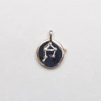 Sterling Silver Zodiac Pendant Charm Necklace