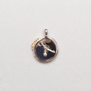 Sterling Silver Zodiac Pendant Charm Necklace