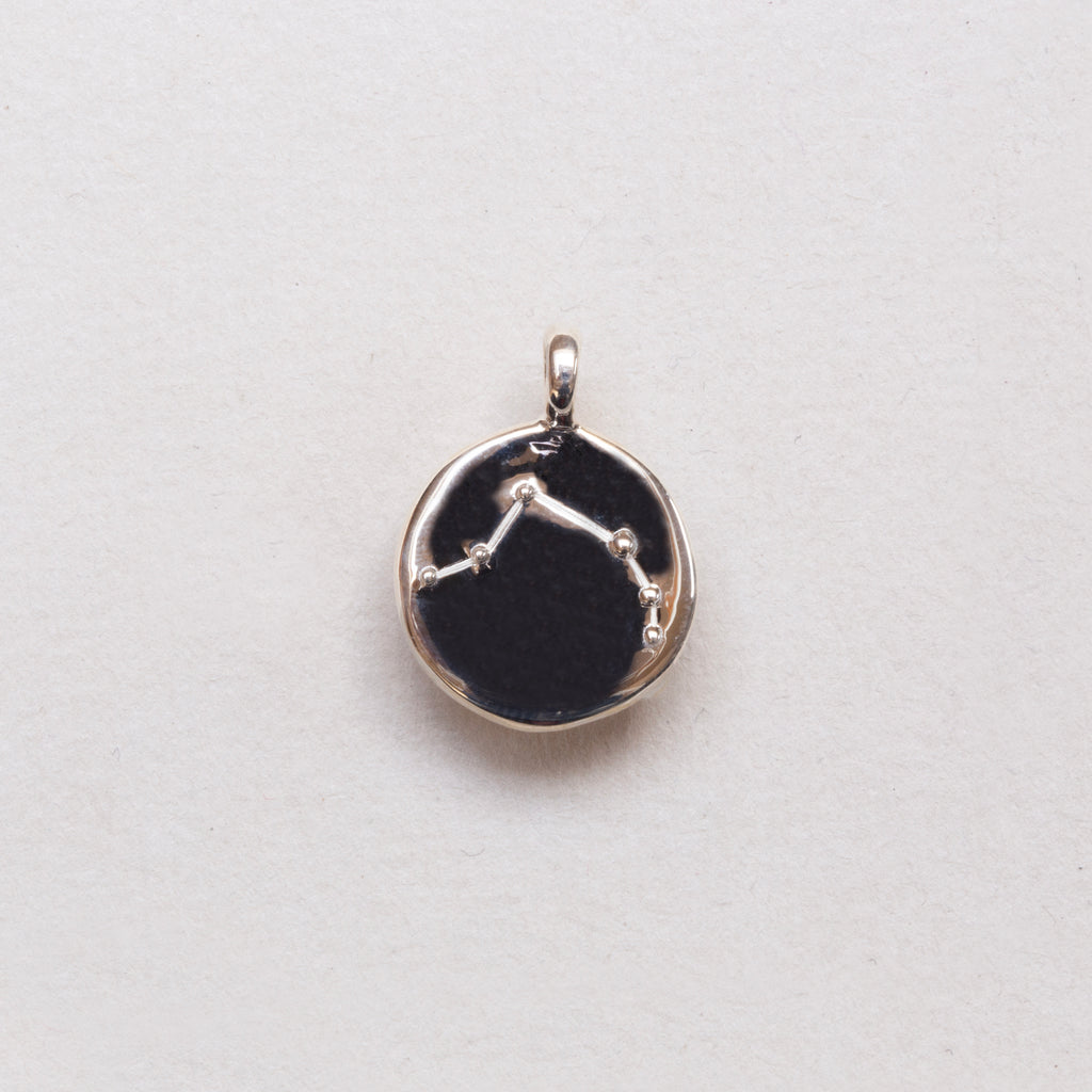 Sterling Silver Zodiac Pendant Charm Necklace