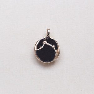 Sterling Silver Zodiac Pendant Charm Necklace