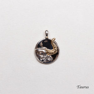 Sterling Silver Zodiac Pendant Charm Necklace