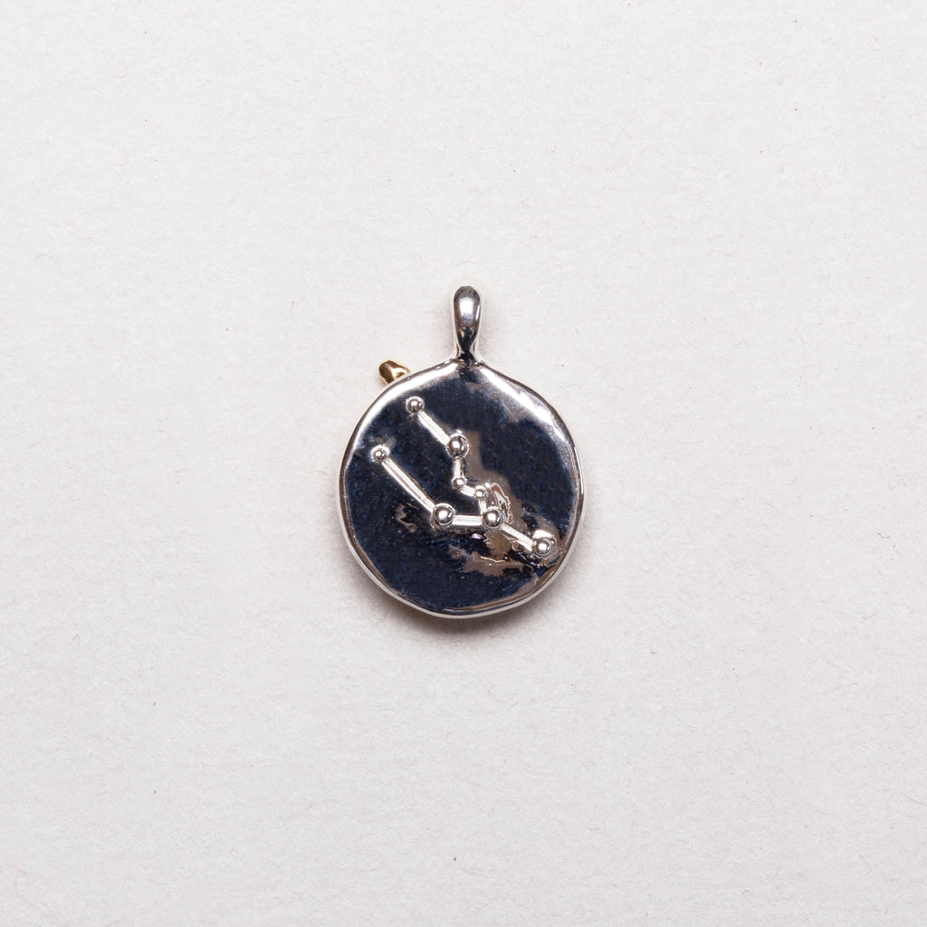 Sterling Silver Zodiac Pendant Charm Necklace