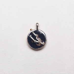 Sterling Silver Zodiac Pendant Charm Necklace
