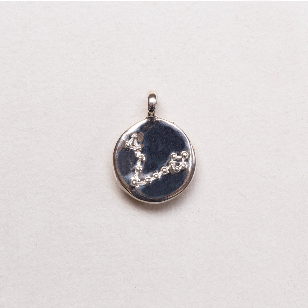Sterling Silver Zodiac Pendant Charm Necklace