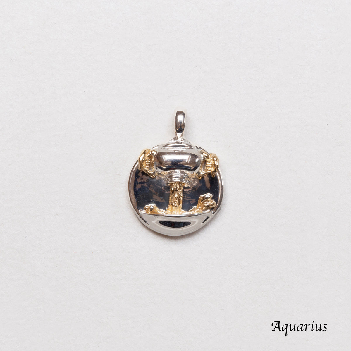 Sterling Silver Zodiac Pendant Charm Necklace
