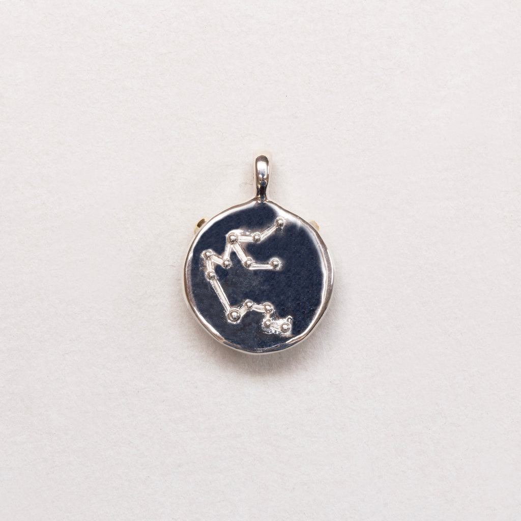 Sterling Silver Zodiac Pendant Charm Necklace