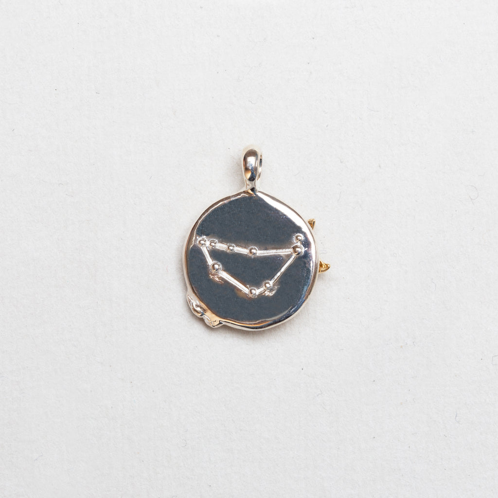 Sterling Silver Zodiac Pendant Charm Necklace