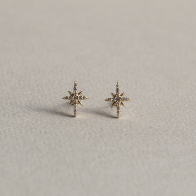 Celine Star Stud Earrings