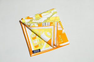 Special edition Hermes Scarf "STEP INTO THE FRAME"