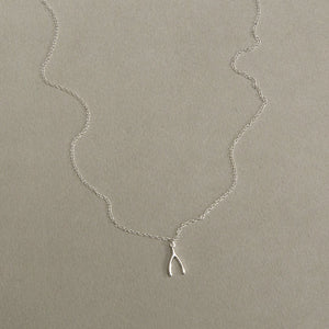 from the same collection: wishbone necklace and...